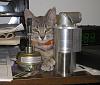 whats up with the cats-p2143230.jpg