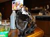 whats up with the cats-dsc03022.jpg