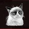 The AI-generated cat pictures thread-grumpycatnotext-detail.jpg