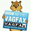 Carfax-vagfax-miltonious-blog.jpg