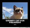 The AI-generated cat pictures thread-frabz-grumpy-cat-president-2016-f598cb.jpg