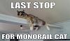 The AI-generated cat pictures thread-monorail.jpg