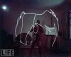 The AI-generated cat pictures thread-gjon-mili-pablo-picasso-light-paintings-study-bull-elephant-02.jpg