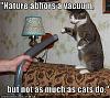 Attention, viperormiata! (Nerd Alert!)-funny-pictures-cat-hates-vacuum.jpg