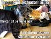 The AI-generated cat pictures thread-cheeseburger.jpg