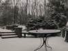 The AI-generated cat pictures thread-snow-fall-time-lapse.-east-coast-storm.-not-mine_55507c_4425406.gif