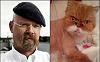 The AI-generated cat pictures thread-cats-who-look-like-famous-people-2-jamie-hyneman.jpg