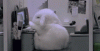 The AI-generated cat pictures thread-5pxlr.gif