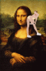 The AI-generated cat pictures thread-tumblr_ms5jkhwtzb1qz581wo4_500.gif
