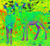 The AI-generated cat pictures thread-deers.gif