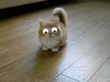 The AI-generated cat pictures thread-render.gif