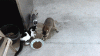 The AI-generated cat pictures thread-anigif_enhanced-buzz-13850-1385051640-37.gif