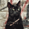 The AI-generated cat pictures thread-very_interesting.gif