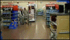 The AI-generated cat pictures thread-walmart_moonwalk_cart.gif
