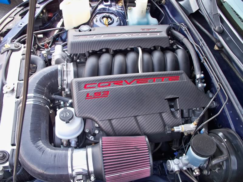 Name:  100_1806.jpg
Views: 52
Size:  127.3 KB