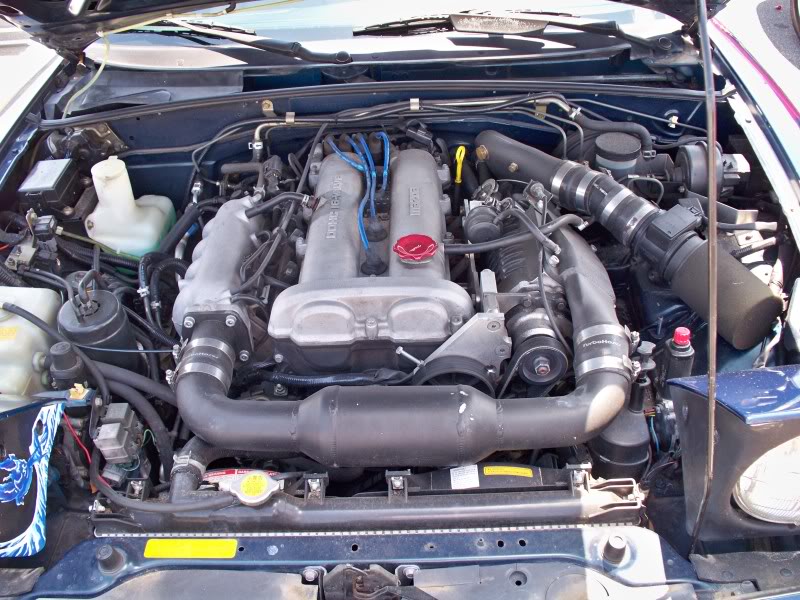 Name:  100_1810.jpg
Views: 47
Size:  121.6 KB