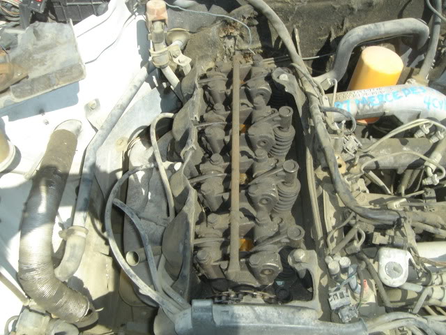 Name:  DSC07913.jpg
Views: 958
Size:  102.0 KB