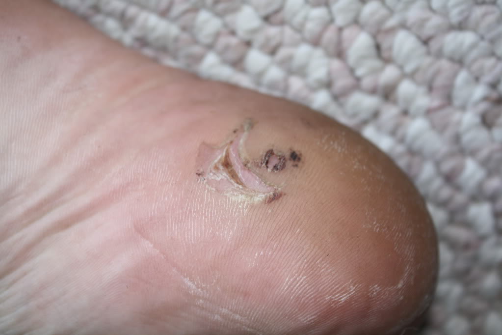 Name:  IMG_1134.jpg
Views: 61
Size:  72.2 KB