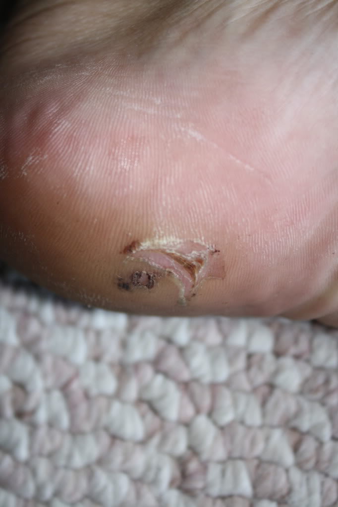 Name:  IMG_1133.jpg
Views: 56
Size:  56.2 KB