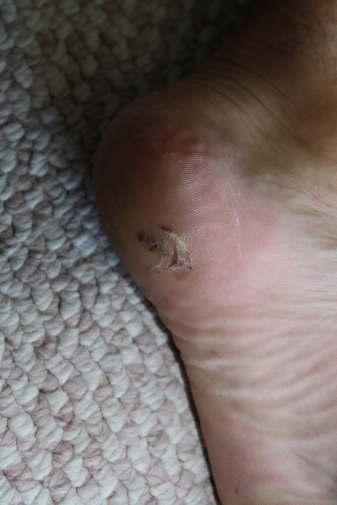 Name:  IMG_1132.jpg
Views: 58
Size:  69.1 KB