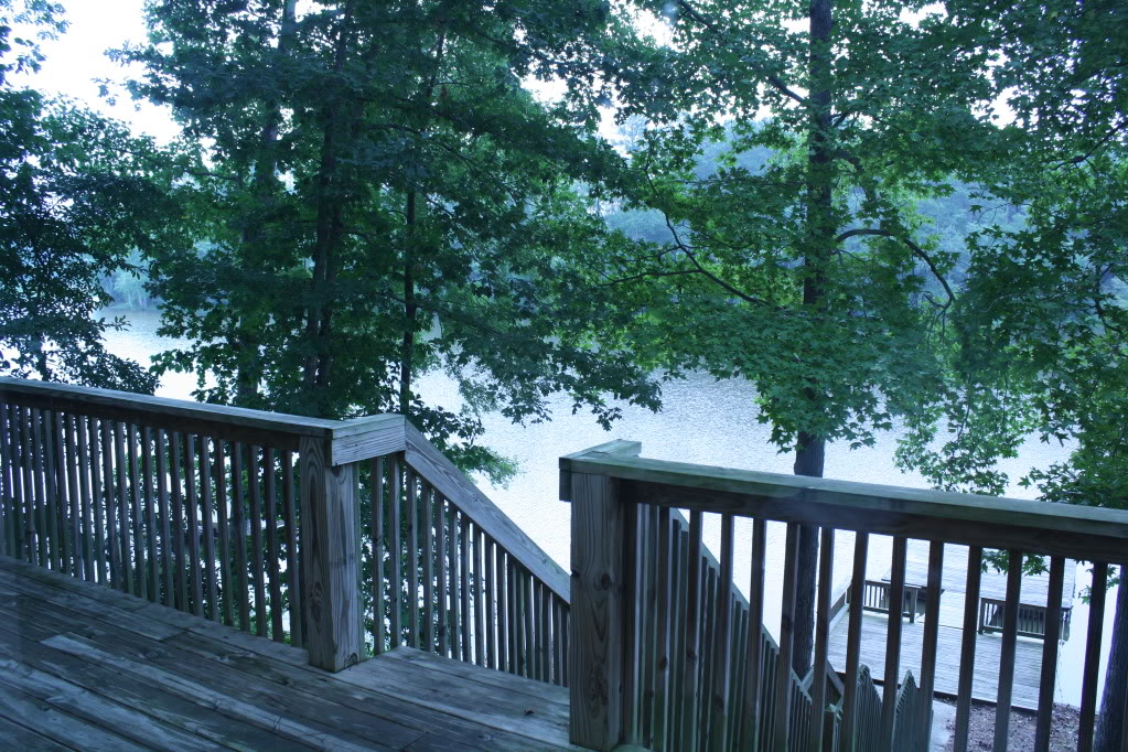 Name:  IMG_0809.jpg
Views: 76
Size:  274.1 KB