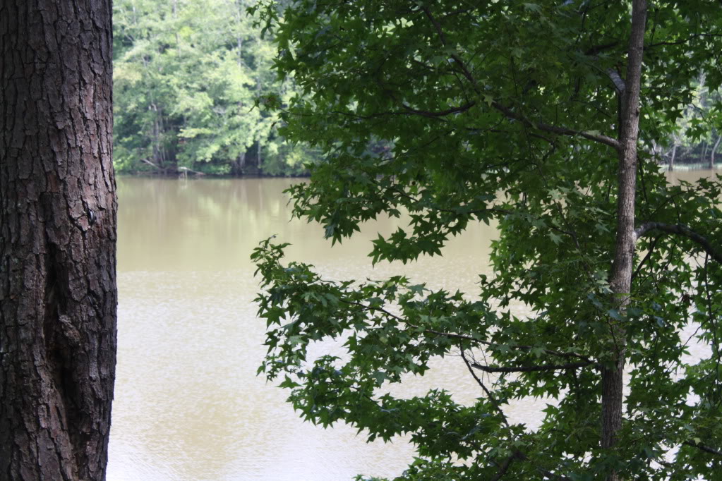 Name:  IMG_0889.jpg
Views: 68
Size:  209.1 KB