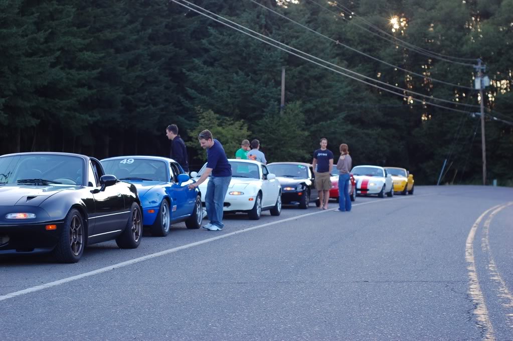 Name:  DSC_0197-1-1.jpg
Views: 34
Size:  127.7 KB