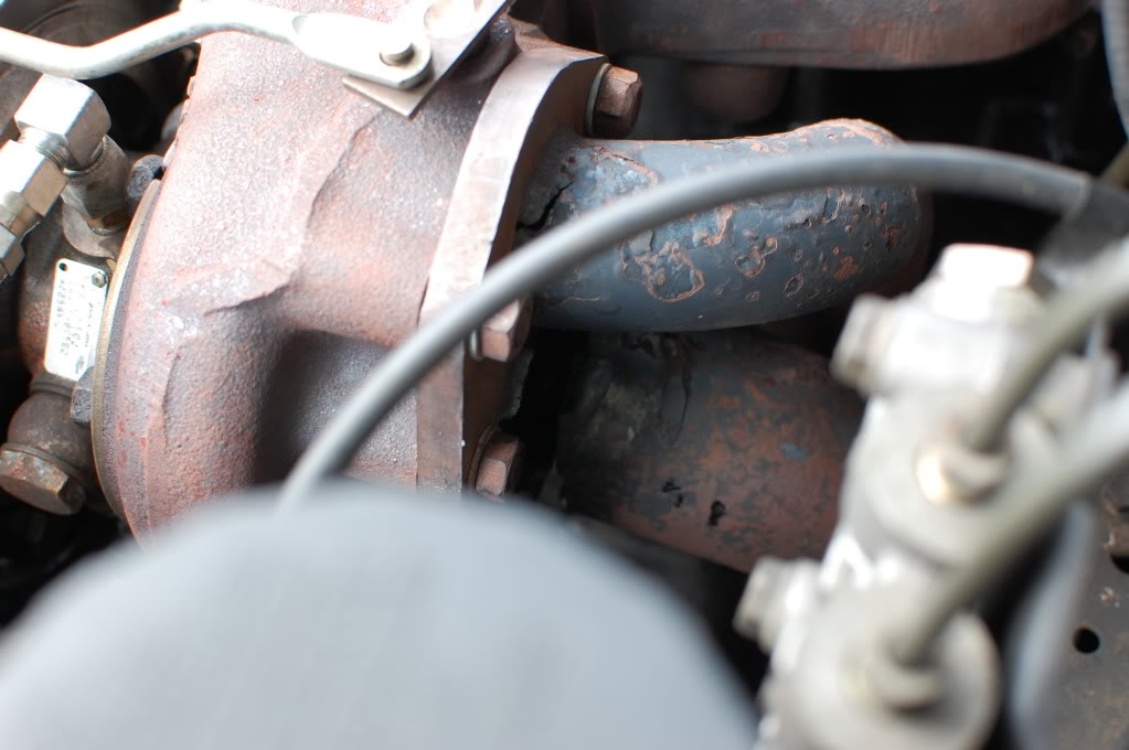 Name:  DSC_0895.jpg
Views: 81
Size:  108.1 KB