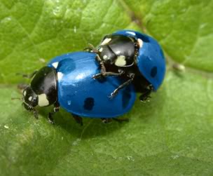 Name:  love.jpg
Views: 31
Size:  14.3 KB