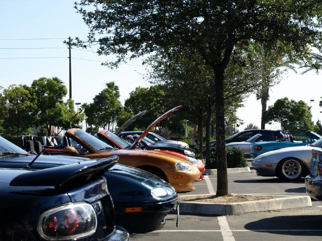 Name:  P6060741.jpg
Views: 36
Size:  83.2 KB