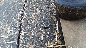 Miatas at the Gap Aug 1-4 2019-20190730_074039.jpg