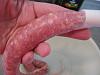 South florida meat-kielbasa8.jpg
