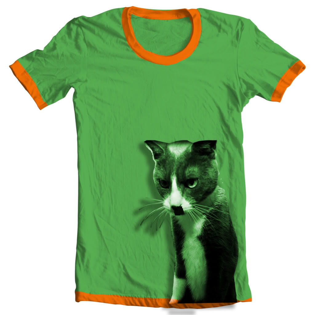 Name:  Kitty.jpg
Views: 78
Size:  83.1 KB