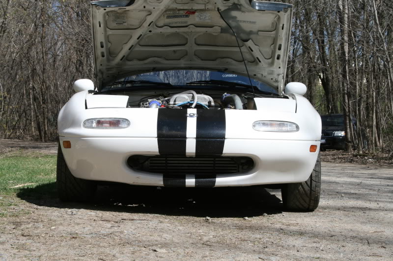 Name:  Picture008-7.jpg
Views: 268
Size:  116.6 KB