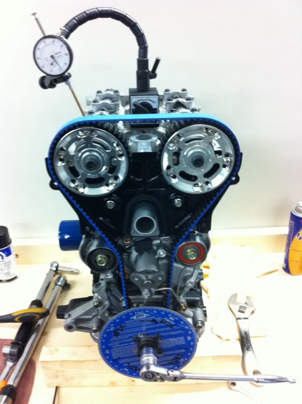 Name:  3800x600.jpg
Views: 74
Size:  60.8 KB