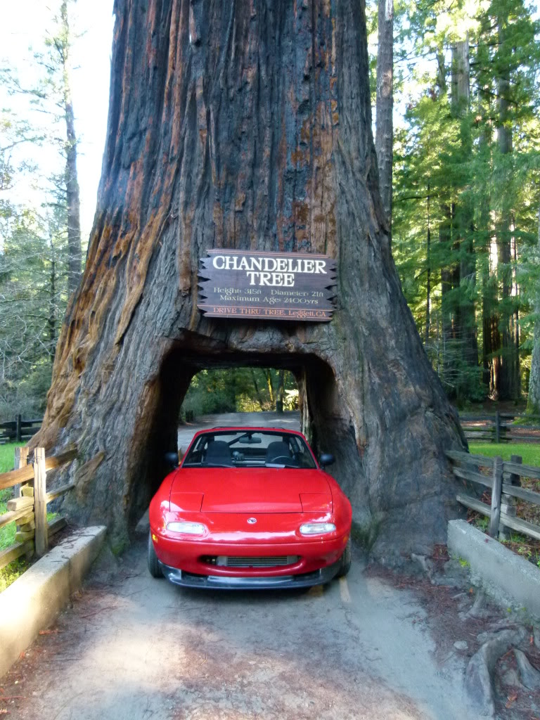 Name:  P1000122.jpg
Views: 80
Size:  224.9 KB