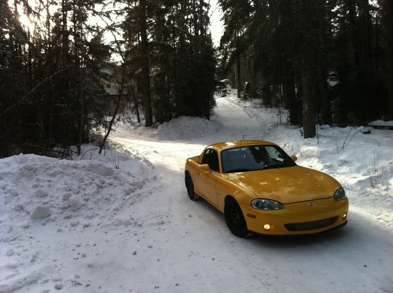 Name:  Yata.jpg
Views: 49
Size:  103.9 KB