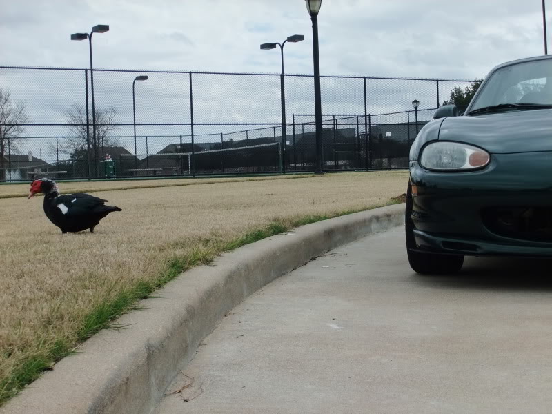 Name:  DSCF3248.jpg
Views: 47
Size:  85.4 KB