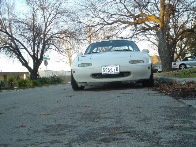 Name:  DSC07192-1.jpg
Views: 50
Size:  128.0 KB