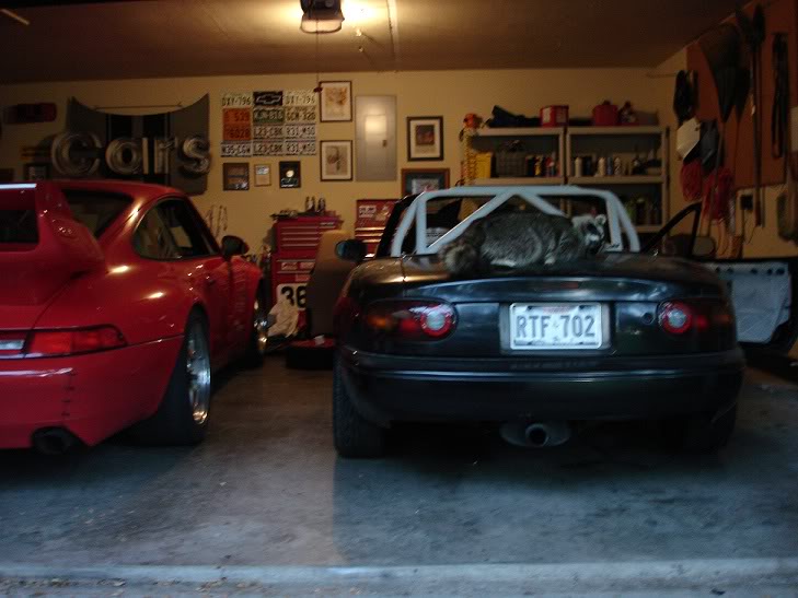 Name:  RockyApproves.jpg
Views: 60
Size:  60.7 KB