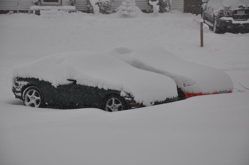 Name:  DSC_8943.jpg
Views: 146
Size:  67.8 KB