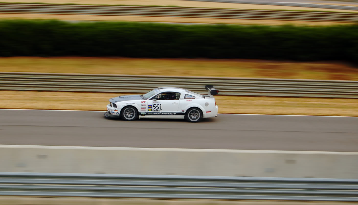 Name:  Mustyblraa.jpg
Views: 105
Size:  116.0 KB