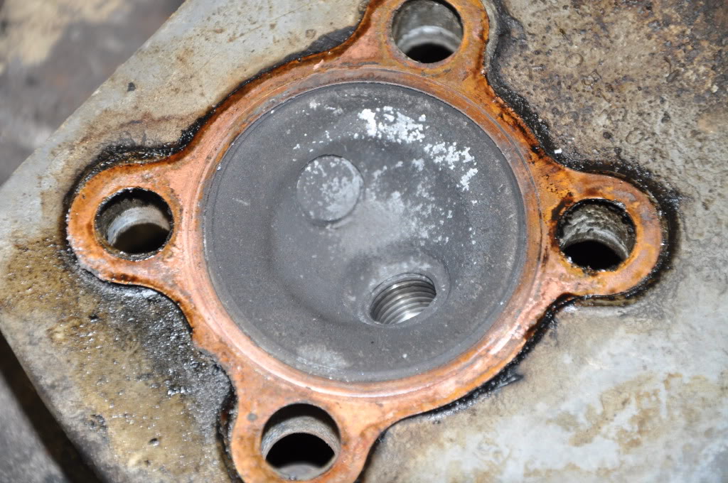 Name:  DSC_0009-1.jpg
Views: 79
Size:  163.9 KB