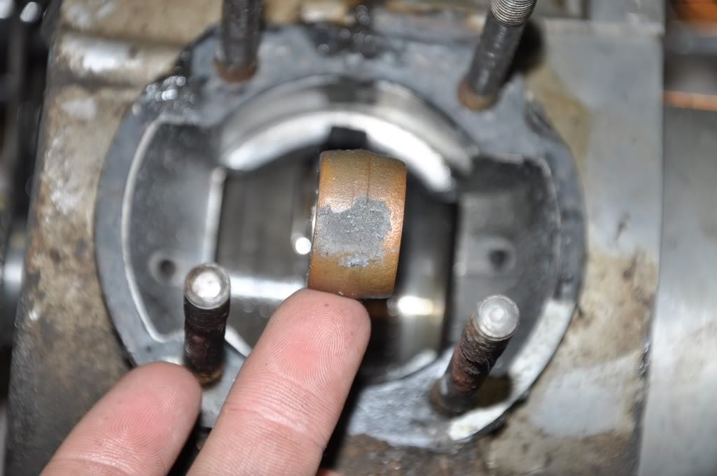 Name:  DSC_0006.jpg
Views: 135
Size:  68.9 KB