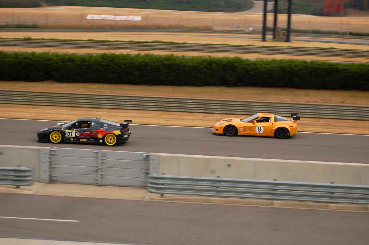 Name:  VETFERa.jpg
Views: 120
Size:  125.0 KB