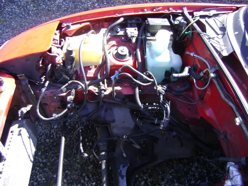 Name:  DSC02201.jpg
Views: 845
Size:  142.6 KB