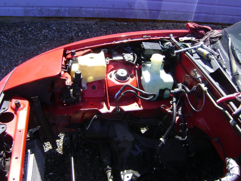 Name:  DSC02203.jpg
Views: 862
Size:  130.0 KB