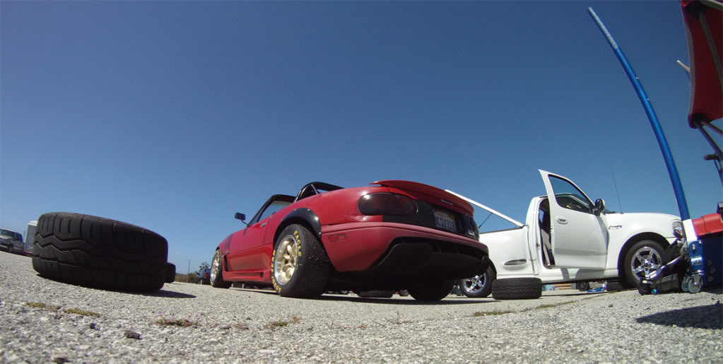 Name:  antseye.jpg
Views: 113
Size:  90.4 KB