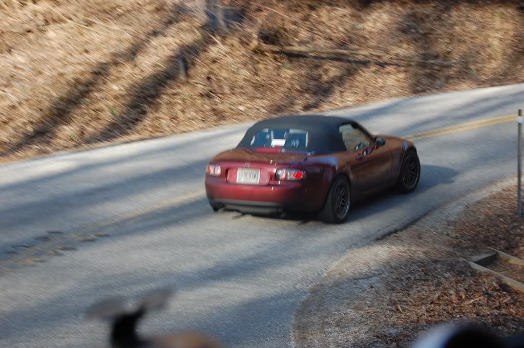 Name:  DSC_0090.jpg
Views: 67
Size:  161.8 KB