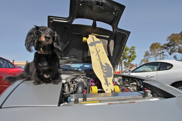 Name:  IMG_0932.jpg
Views: 69
Size:  61.4 KB